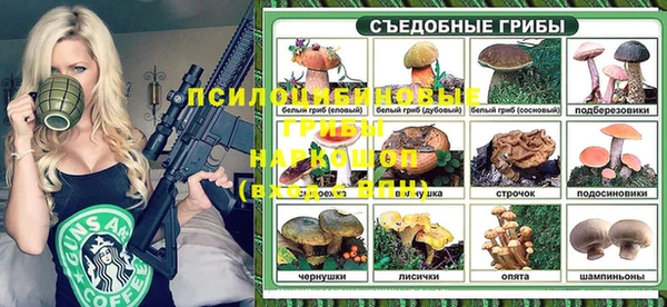 спиды Ладушкин