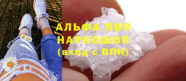 прущие грибы Лабытнанги