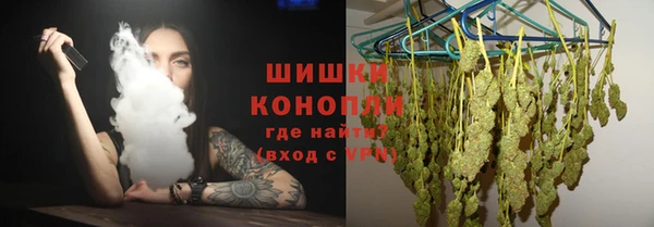 прущие грибы Лабытнанги