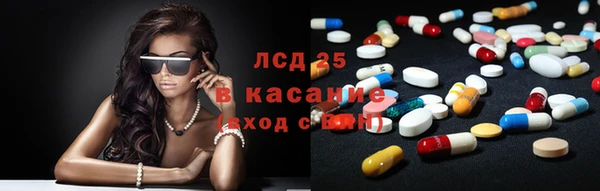 прущие грибы Лабытнанги