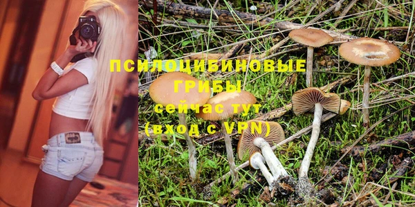 спиды Ладушкин
