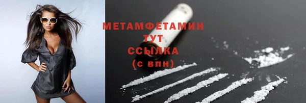 прущие грибы Лабытнанги