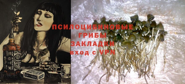 спиды Ладушкин