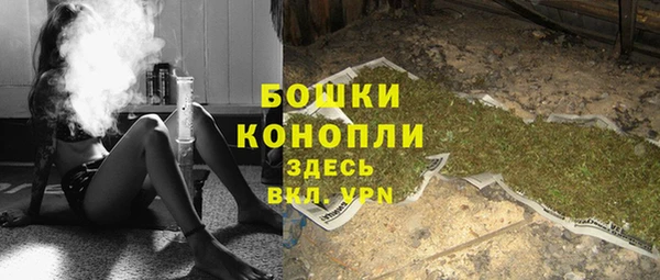 прущие грибы Лабытнанги