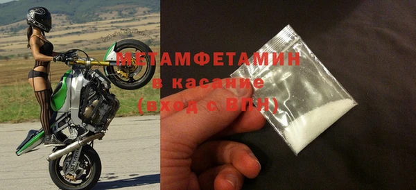прущие грибы Лабытнанги