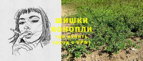 прущие грибы Лабытнанги