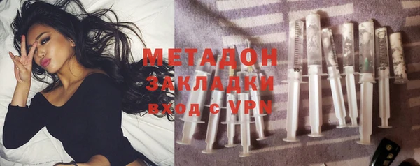 прущие грибы Лабытнанги